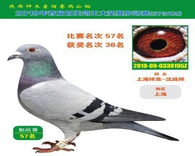 神木水族館vs祥龍魚場（神木市路順發水族館和祥龍魚場哪個好）