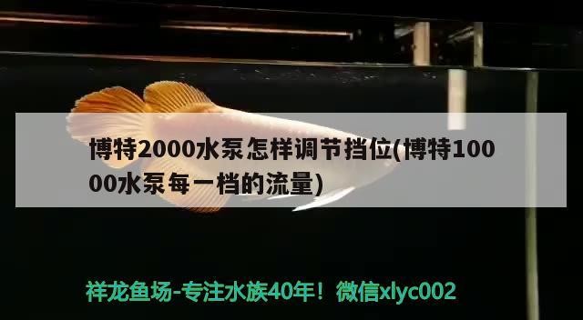 博特2000水泵怎樣調節擋位(博特10000水泵每一檔的流量)