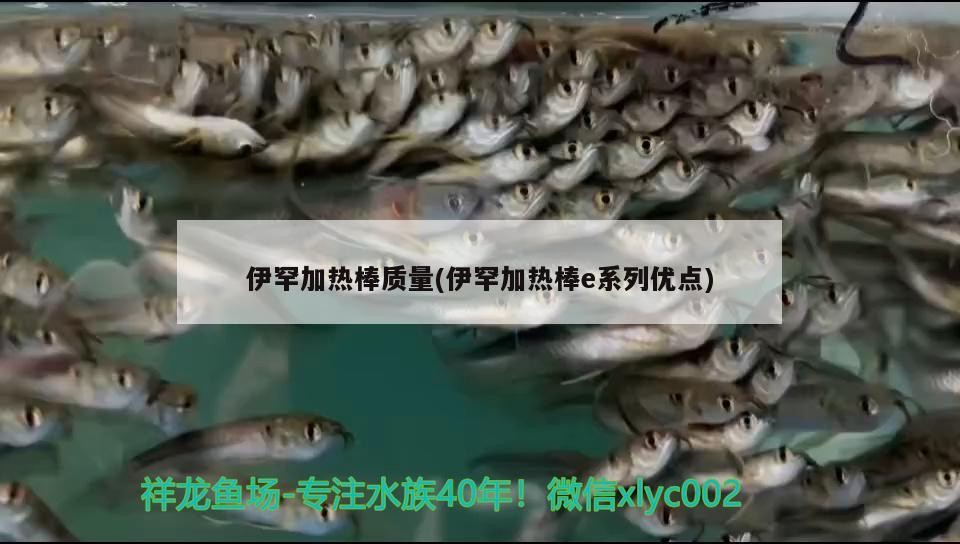 伊罕加熱棒質量(伊罕加熱棒e系列優點) 伊罕加熱棒質量(伊罕加熱棒e系列優點) 伊罕水族