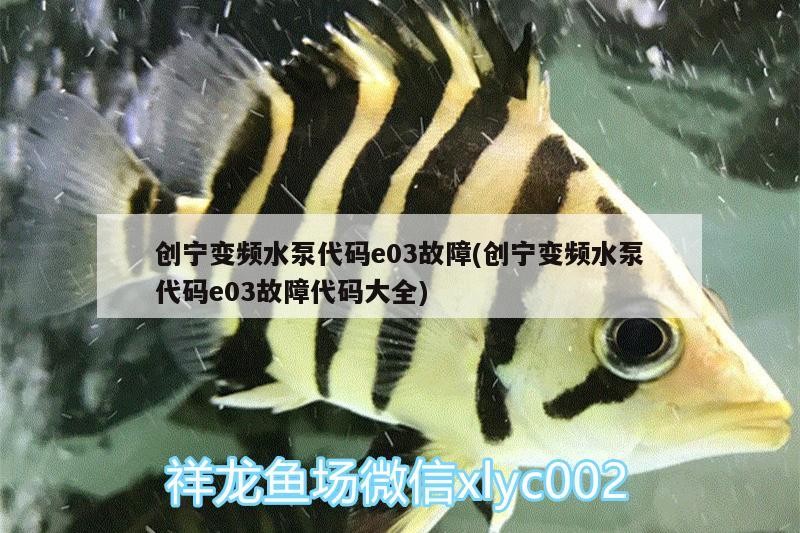 創(chuàng)寧變頻水泵代碼e03故障(創(chuàng)寧變頻水泵代碼e03故障代碼大全)