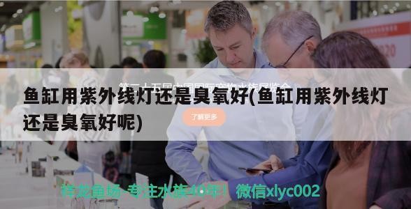 魚缸用紫外線燈還是臭氧好(魚缸用紫外線燈還是臭氧好呢) 魚缸用紫外線燈還是臭氧好(魚缸用紫外線燈還是臭氧好呢) iwish愛唯希品牌魚缸