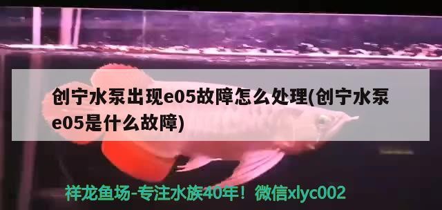 創寧水泵出現e05故障怎么處理(創寧水泵e05是什么故障)