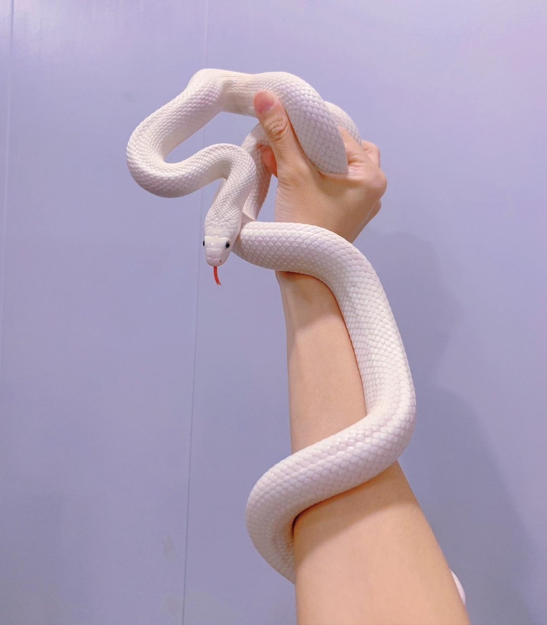 白娘娘喜歡的可以來聊聊