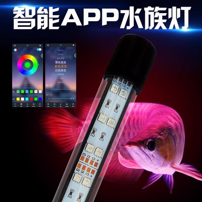 錦鯉爛身特效藥，真相與科學治療指南