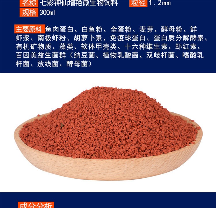 錦鯉爛鰭最怕三個東西—防治關鍵與養(yǎng)護要點