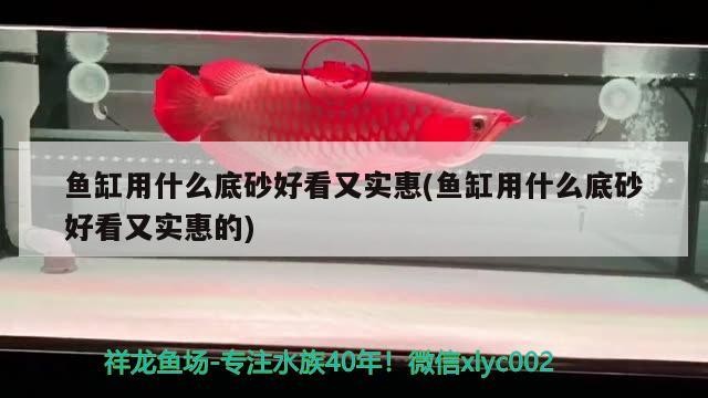 魚缸用什么底砂好看又實(shí)惠(魚缸用什么底砂好看又實(shí)惠的)