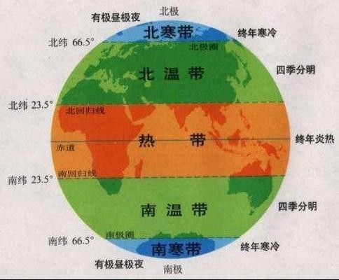 錦鯉與哪種清潔魚混養(yǎng)最佳？打造和諧水族環(huán)境的完美搭檔