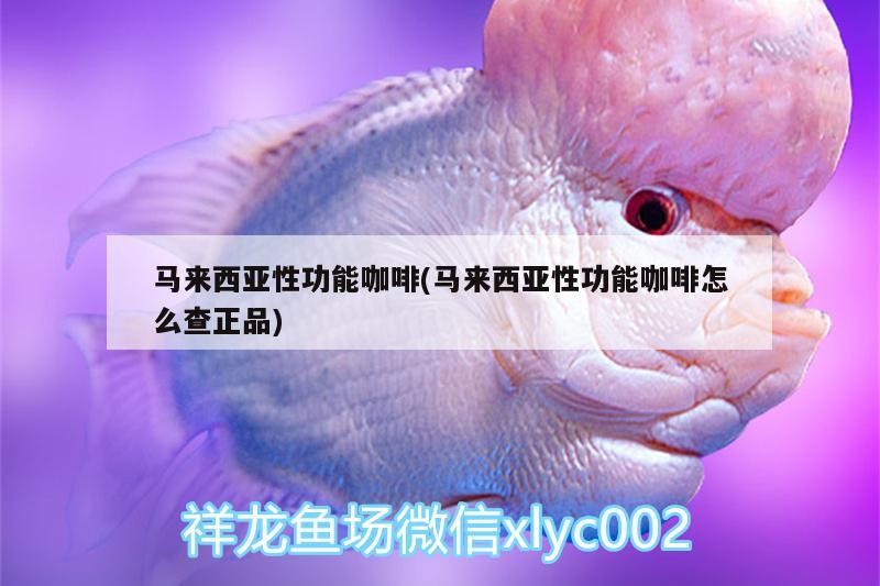 馬來西亞性功能咖啡(馬來西亞性功能咖啡怎么查正品) 馬來西亞性功能咖啡(馬來西亞性功能咖啡怎么查正品) 馬來西亞咖啡