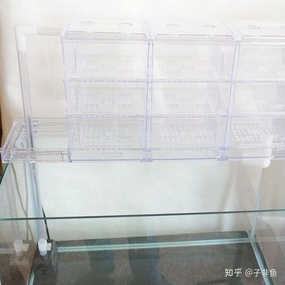 80長的魚缸寬多少合適：80厘米長的魚缸在寬度上的選擇