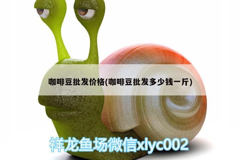 咖啡豆批發(fā)價(jià)格(咖啡豆批發(fā)多少錢一斤)