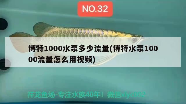 博特1000水泵多少流量(博特水泵10000流量怎么用視頻)
