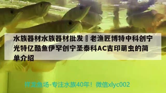 水族器材水族器材批發?老漁匠博特中科創寧光特億酷魚伊罕創寧圣泰科AC吉印萌蟲的簡單介紹