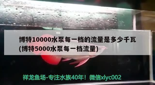 博特10000水泵每一檔的流量是多少千瓦(博特5000水泵每一檔流量)