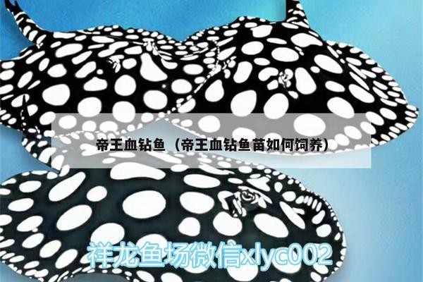 金魚最忌三種水，養魚新手必知的禁忌