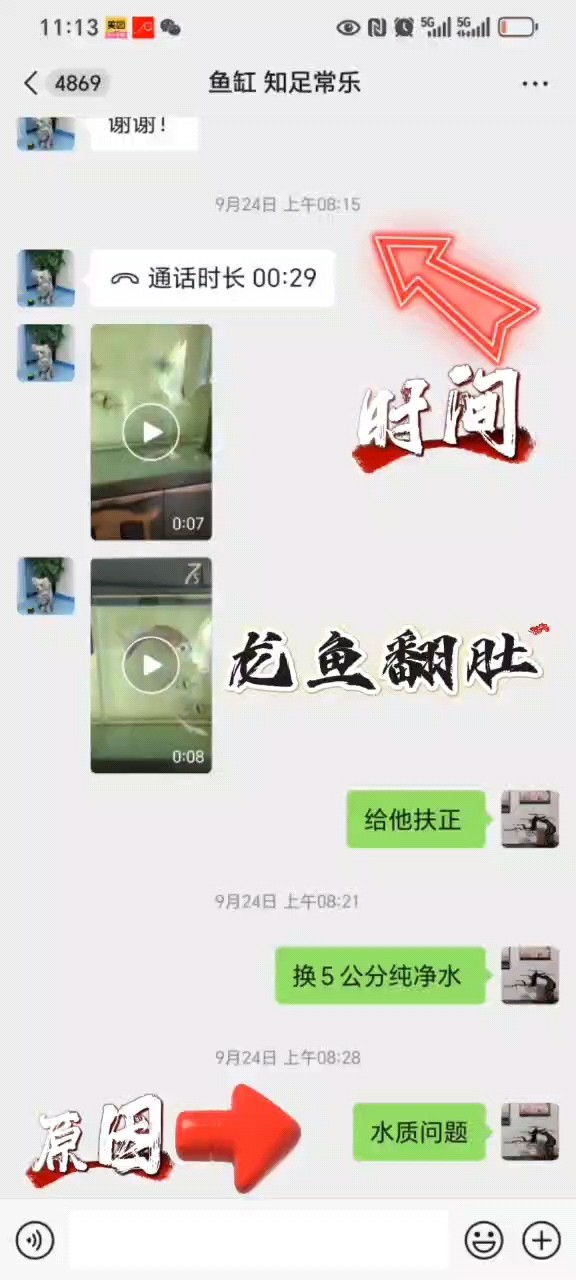 龍魚翻肚搶救成功了