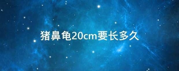 豬鼻龜30厘米幾年能長大：豬鼻龜活多久能長大成型
