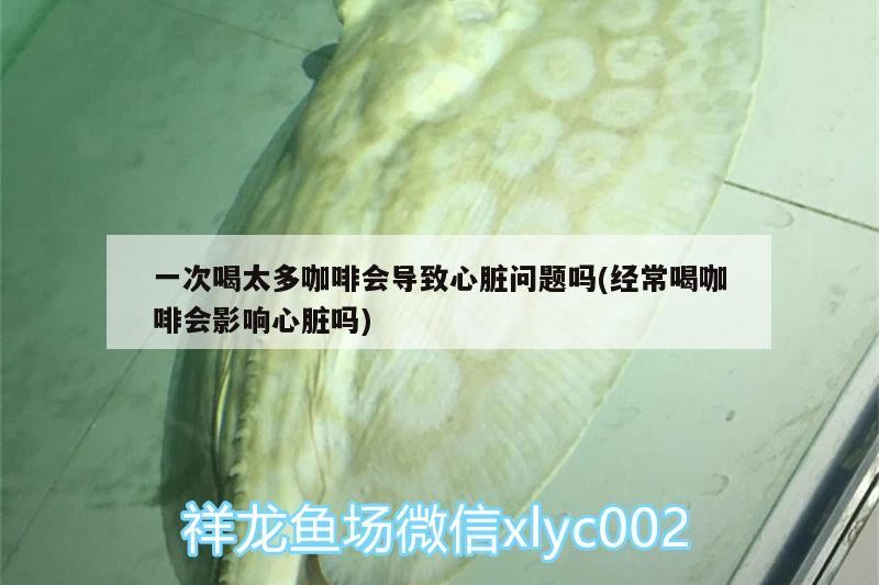 一次喝太多咖啡會導致心臟問題嗎(經常喝咖啡會影響心臟嗎)