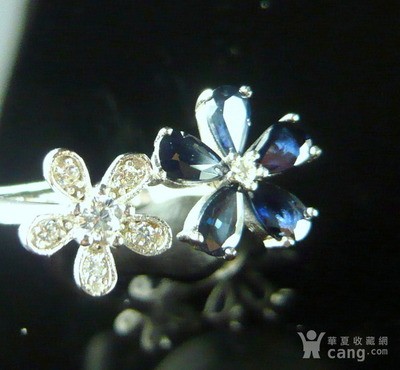 金魚養(yǎng)多久算是養(yǎng)定了？資深魚友分享判斷標(biāo)準(zhǔn)與養(yǎng)護(hù)經(jīng)驗(yàn)