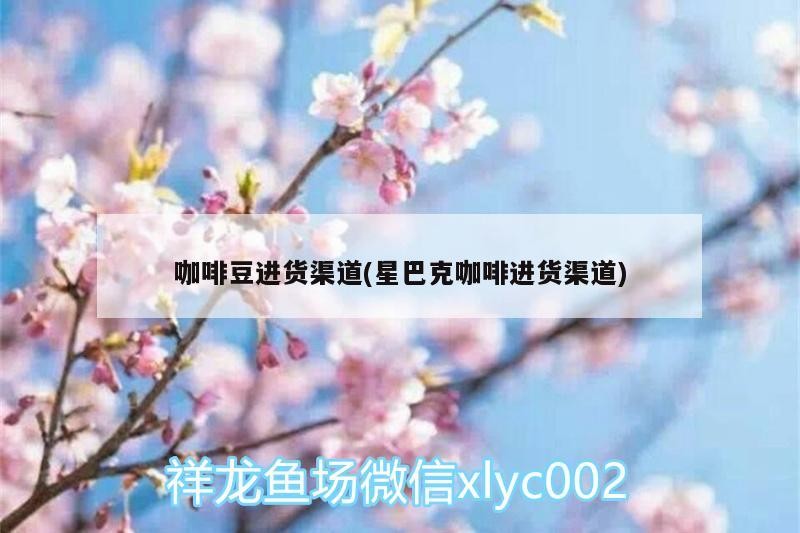 咖啡豆進貨渠道(星巴克咖啡進貨渠道) 咖啡豆進貨渠道(星巴克咖啡進貨渠道) 馬來西亞咖啡