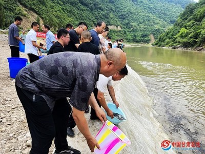 養(yǎng)2條金魚最旺財，風(fēng)水與科學(xué)的完美結(jié)合