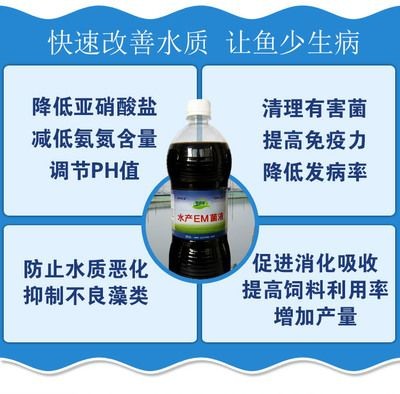 哈密可麗愛魚缸專賣店：哈密可麗愛魚缸專賣店，打造您的水族樂園