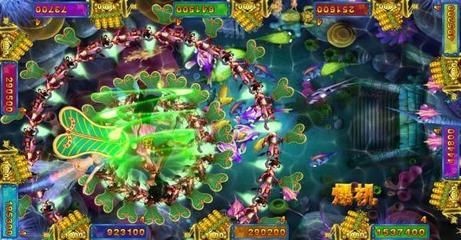 自貢龍魚vs祥龍魚場（自貢龍魚和祥龍魚場哪個好）