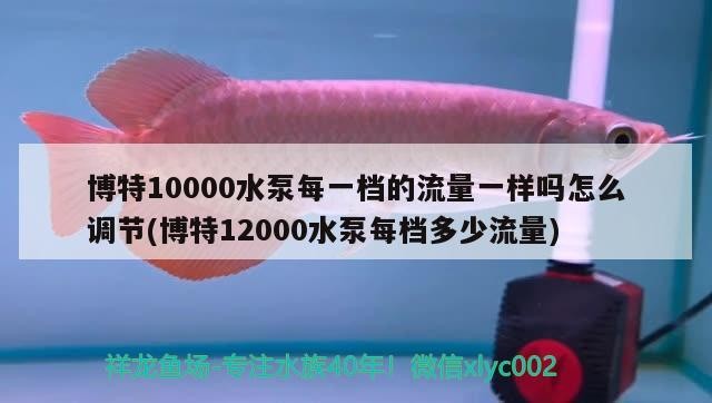 博特10000水泵每一檔的流量一樣嗎怎么調節(博特12000水泵每檔多少流量)