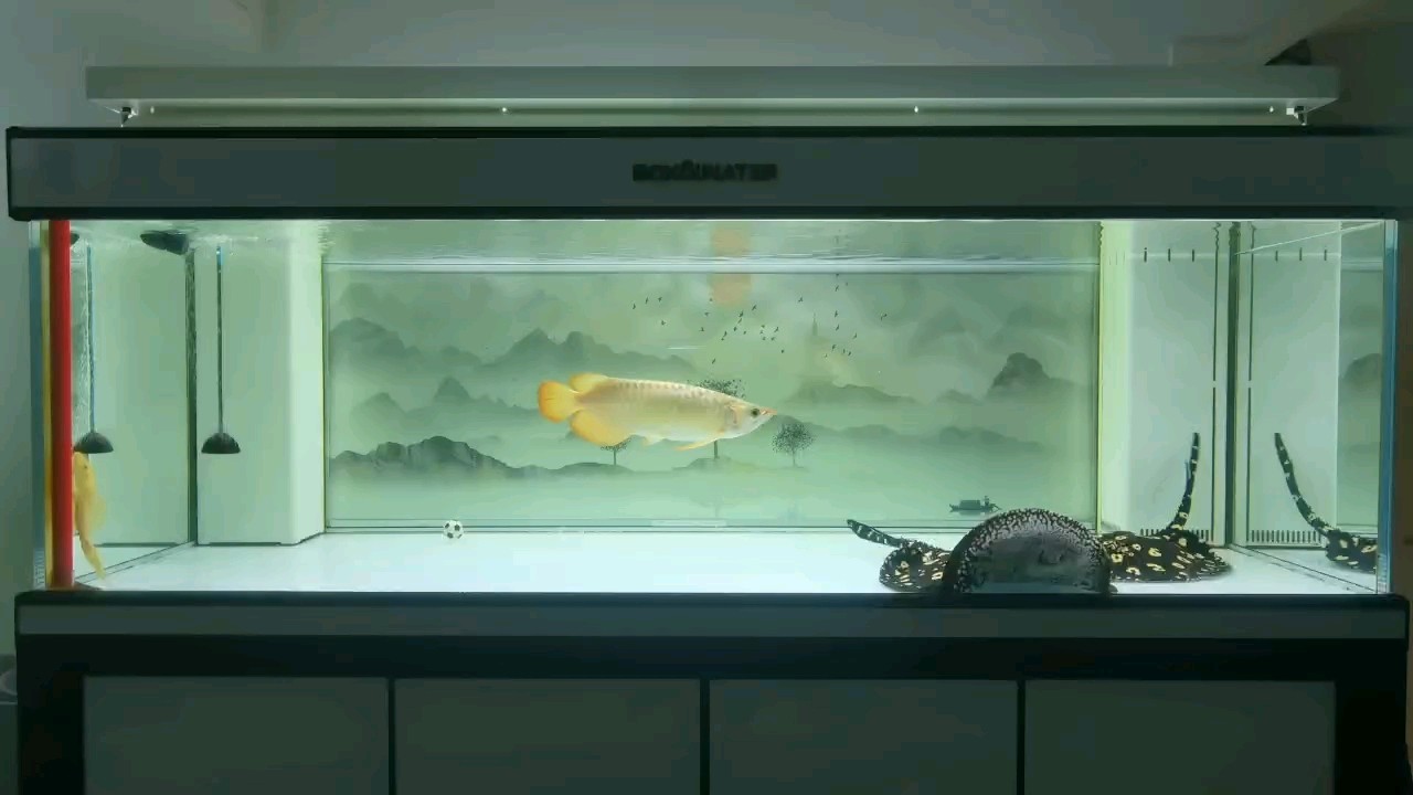 一卷秋風，一夜新涼！