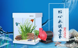 龍魚圖騰圖片高清圖片高清圖大全，龍魚圖騰圖片高清圖大全，精美的龍魚圖騰圖片高清圖大全