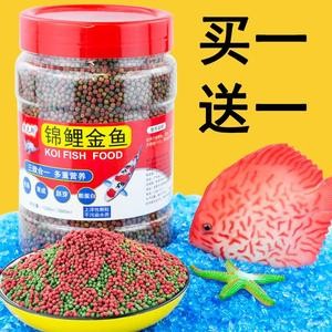 金魚幾天喂一次比較好?科學喂養(yǎng)指南 龍魚百科 第3張 金魚幾天喂一次比較好?科學喂養(yǎng)指南 金魚幾天喂一次比較好?科學喂養(yǎng)指南 龍魚百科 第3張