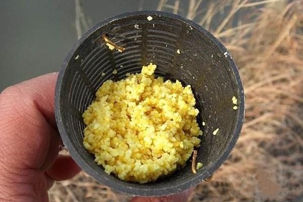 金魚換水三大禁忌，養魚新手必看！