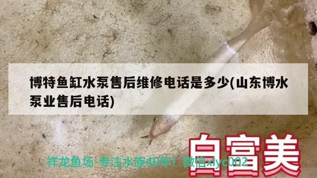 博特魚缸水泵售后維修電話是多少(山東博水泵業售后電話)