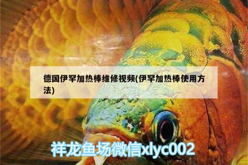 德國伊罕加熱棒維修視頻(伊罕加熱棒使用方法) 德國伊罕加熱棒維修視頻(伊罕加熱棒使用方法) 伊罕水族