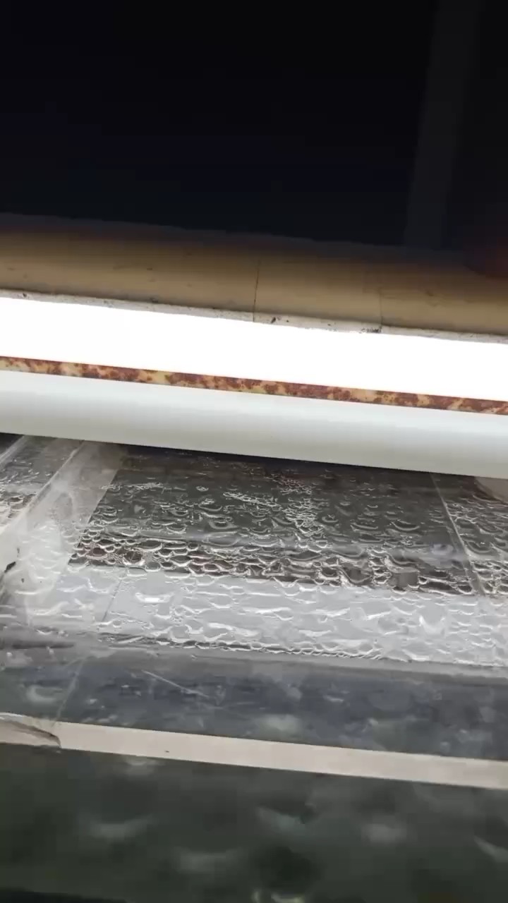 喂食小驚喜 喂食小驚喜 龍魚論壇