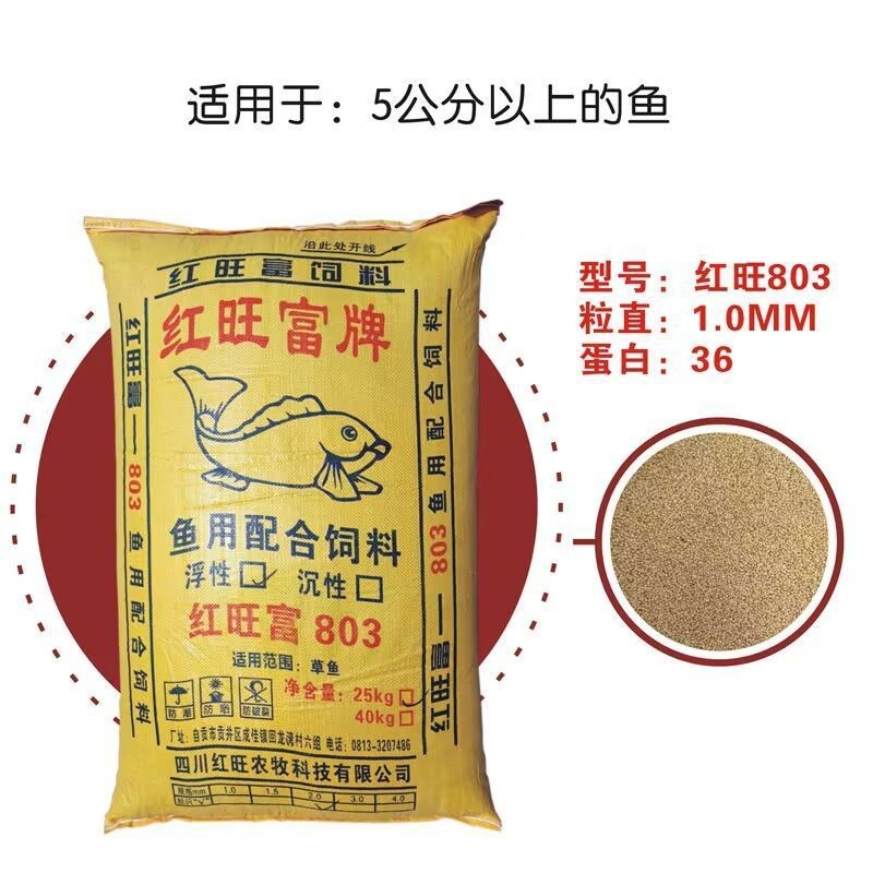 五公分的虎魚(yú)喂什么飼料：五公分的虎魚(yú)喂什么飼料，