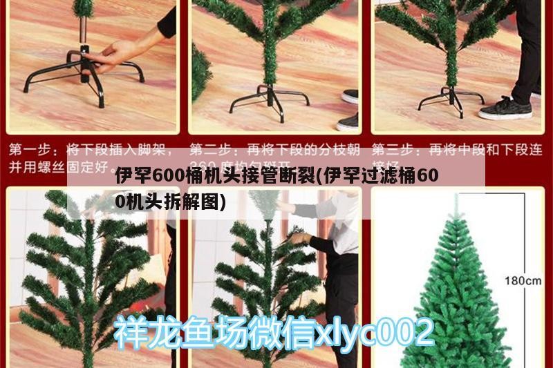 伊罕600桶機頭接管斷裂(伊罕過濾桶600機頭拆解圖)