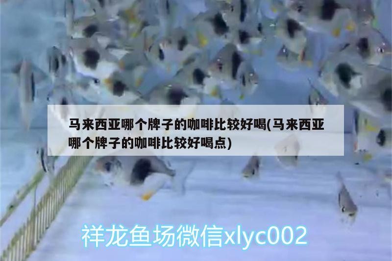 魚缸過濾器選購指南:自制魚缸過濾器魚缸上置過濾器對于養魚愛好者的必備知識 馬來西亞哪個牌子的咖啡比較好喝(馬來西亞哪個牌子的咖啡比較好喝點) 馬來西亞咖啡 馬來西亞哪個牌子的咖啡比較好喝(馬來西亞哪個牌子的咖啡比較好喝點) 馬來西亞哪個牌子的咖啡比較好喝(馬來西亞哪個牌子的咖啡比較好喝點) 馬來西亞咖啡