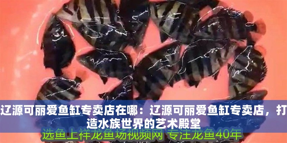 遼源可麗愛魚缸專賣店在哪：遼源可麗愛魚缸專賣店，打造水族世界的藝術殿堂
