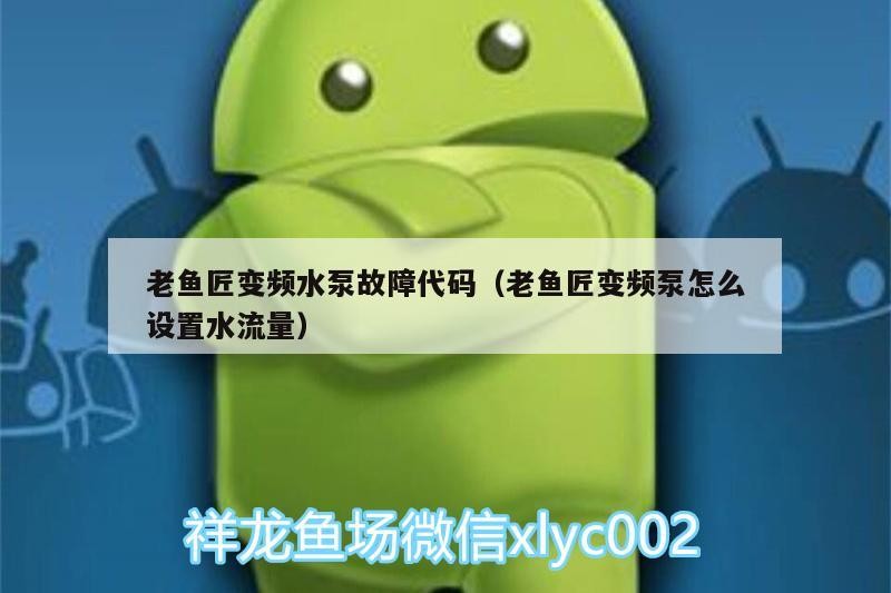 老魚匠變頻水泵故障代碼（老魚匠變頻泵怎么設置水流量）