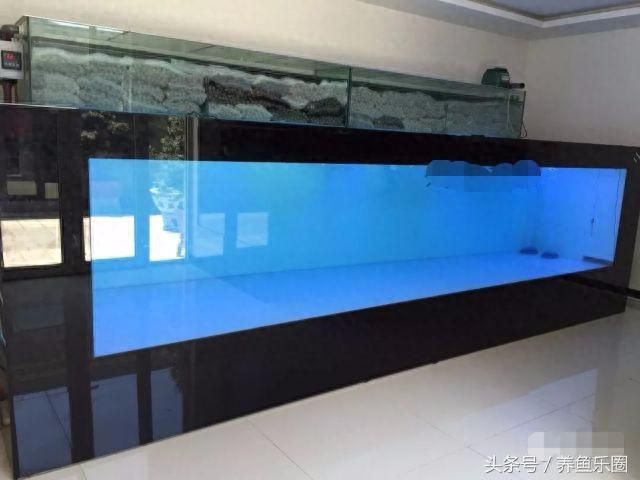 魟魚養(yǎng)殖場過濾設計：在設計魟魚養(yǎng)殖場的過濾系統時，我們需要考慮到魟魚對水質的高要求