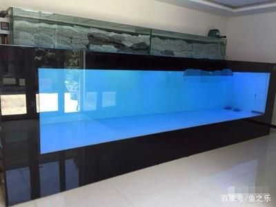 魟魚養(yǎng)殖場過濾設計：在設計魟魚養(yǎng)殖場的過濾系統時，我們需要考慮到魟魚對水質的高要求
