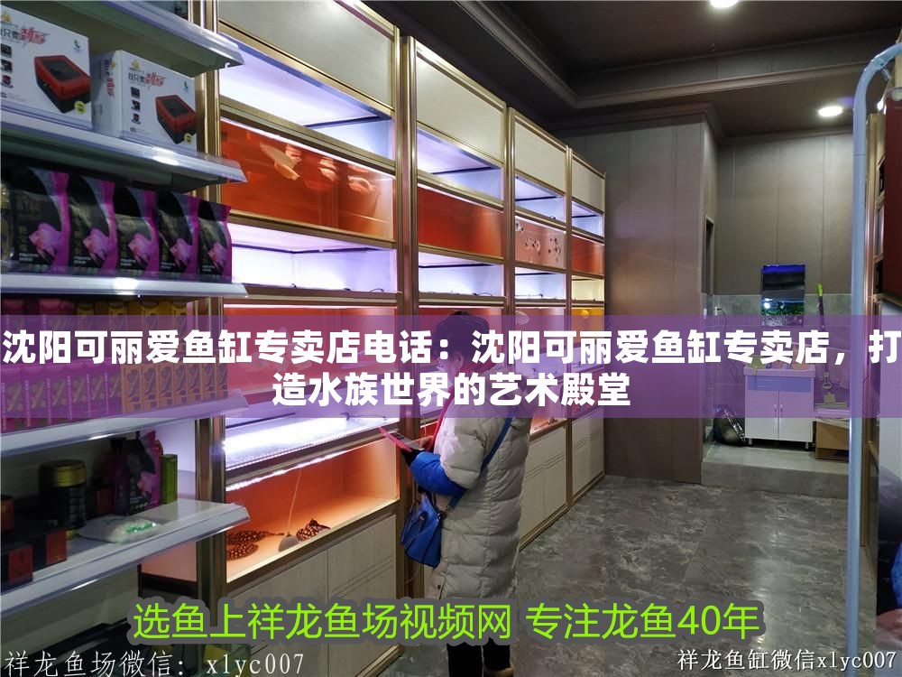 沈陽可麗愛魚缸專賣店電話：沈陽可麗愛魚缸專賣店，打造水族世界的藝術殿堂