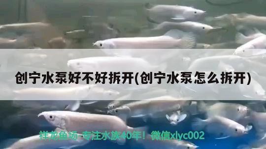 創寧水泵好不好拆開(創寧水泵怎么拆開)