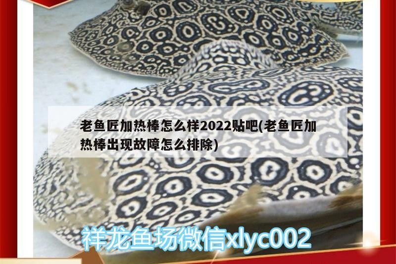 老魚匠加熱棒怎么樣2022貼吧(老魚匠加熱棒出現故障怎么排除)