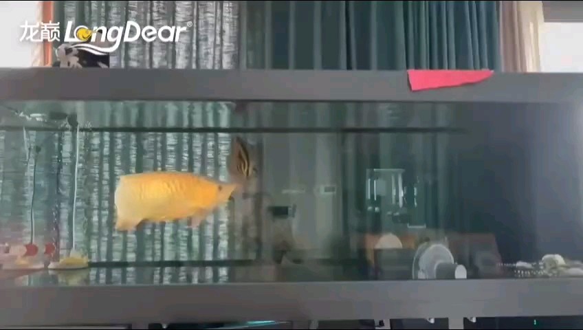 轉(zhuǎn)發(fā)560