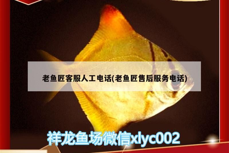 老魚匠客服人工電話(老魚匠售后服務電話)