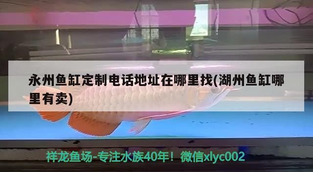 永州魚缸定制電話地址在哪里找(<strong><mark>湖州</mark></strong>魚缸哪里有賣)