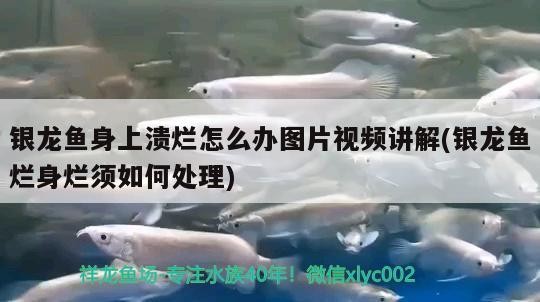 <strong><mark>于田</mark></strong>縣華凌玻璃裝飾店
