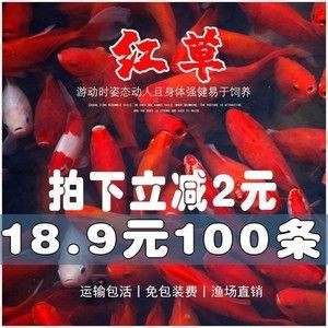 紅龍魚飼料用戶評價匯總：紅龍魚飼料用戶評價匯總摘要：紅龍魚飼料增色效果對比