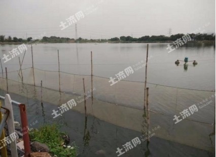 金龍魚擺放財(cái)位正確圖：金龍魚擺放財(cái)位正確圖片